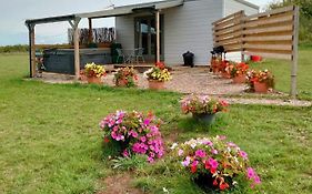Beautiful Wooden Tiny House, Glamping Cabin With Hot Tub 3